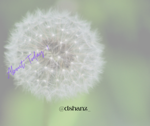 About Today Web Cover (1)