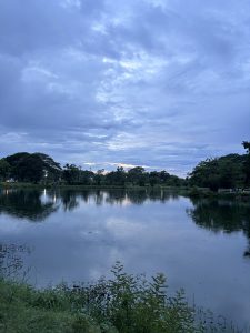 IMG_6213