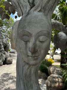 photo_2026-06-09_22-48-50