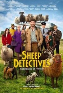sheep