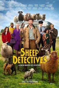 sheep