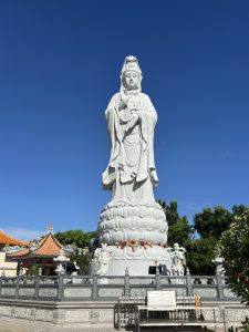 IMG_6573