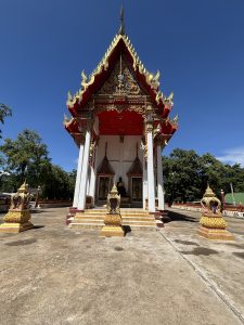 IMG_6641